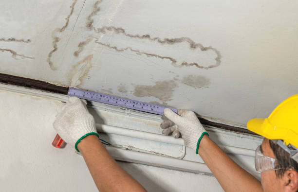 Reliable Water Damage contractor in Chepachet, RI by Water Damage Irwin
